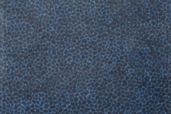 Ruth moro serie 1 - Image 2