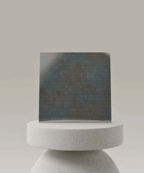 H1001