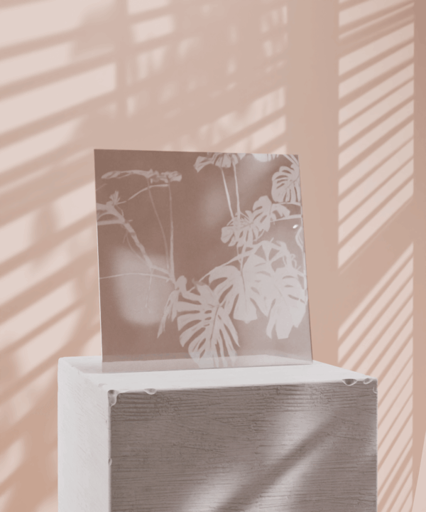 Sam Szafran - Collection 1 - Image 6