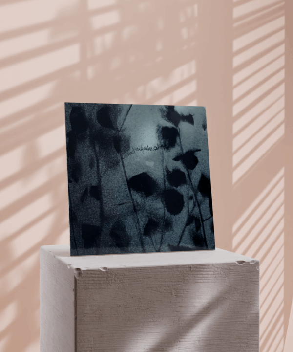 Soyer_10 - Image 3