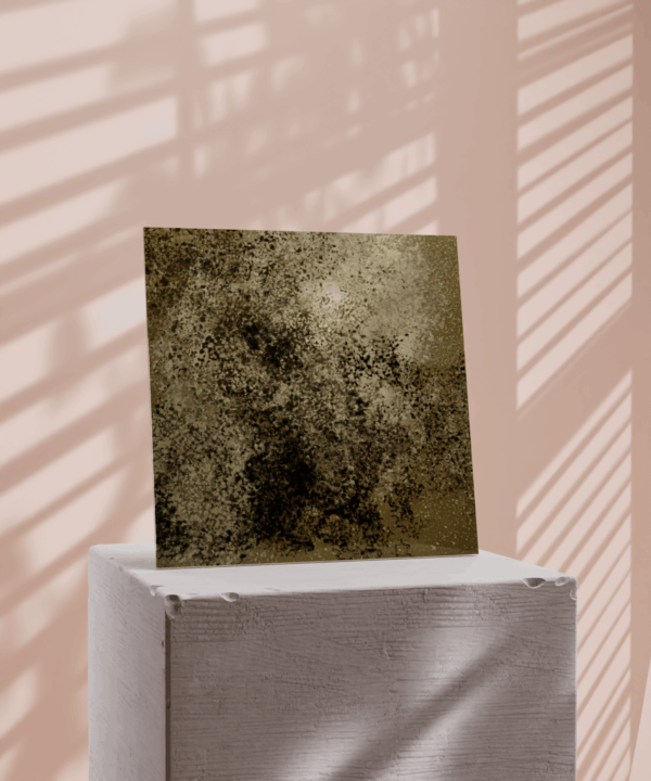 Soyer_8 - Image 3