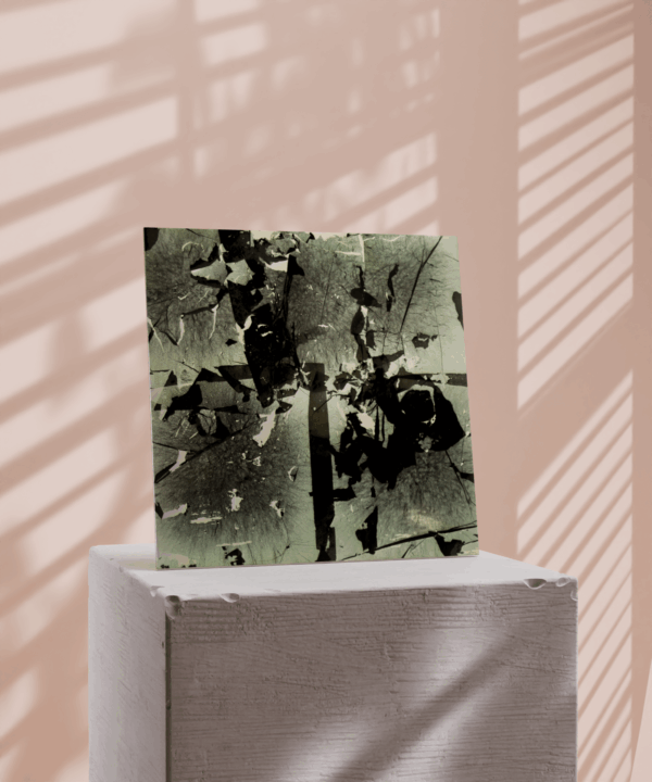 Soyer_5 - Image 3