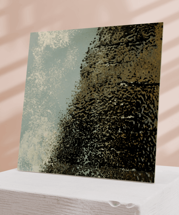 Soyer_2 - Image 2