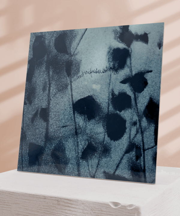 Soyer_10 - Image 2