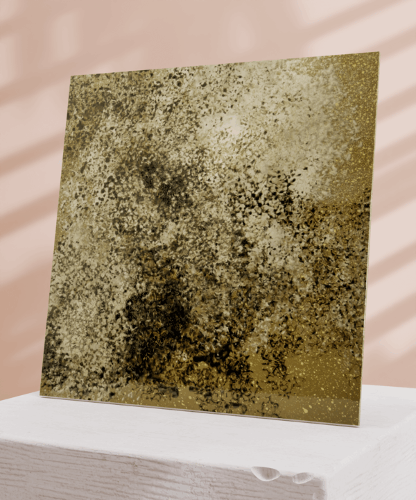 Soyer_8 - Image 2