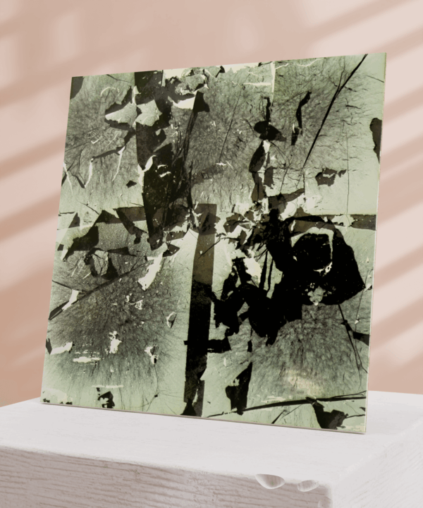 Soyer_5 - Image 2