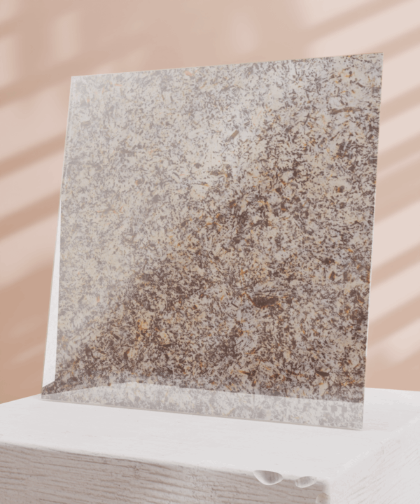 E5 - Image 2