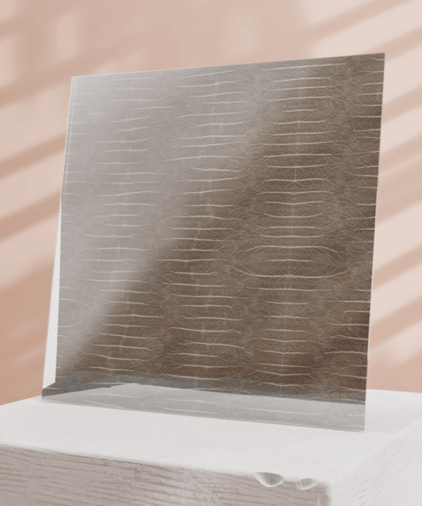 T6 - Image 2