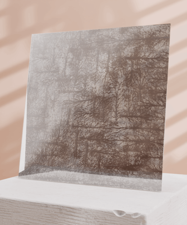 T8 - Image 2