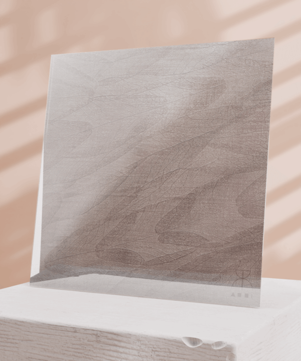 F11 - Image 2
