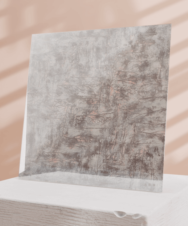 T20 - Image 2