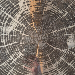 Verre Déco - Modèle 4